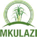 Mkulanzi