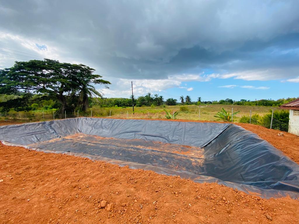 Dam construction phase