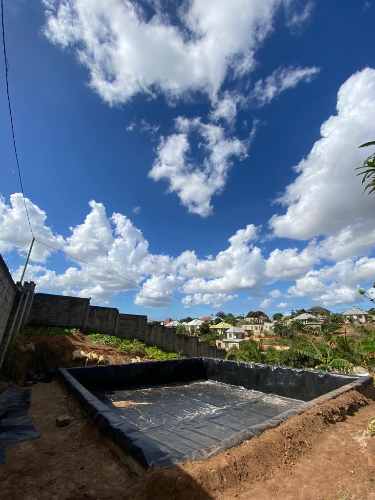 Pond construction