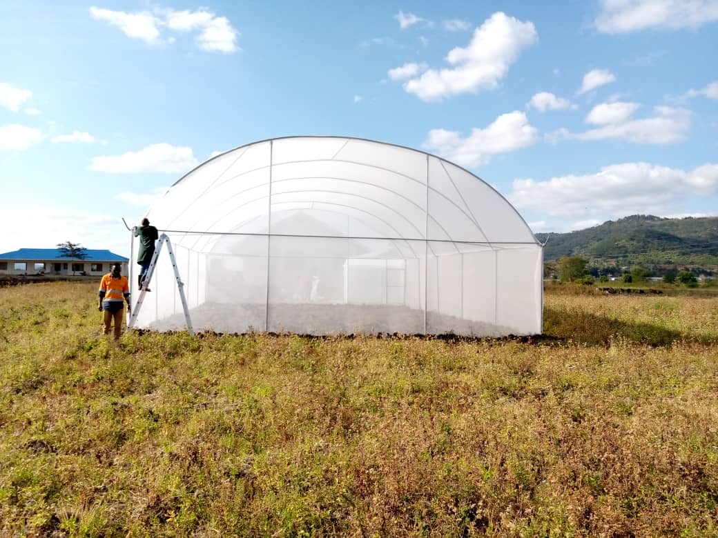 Greenhouse Drip Irrigation Kit