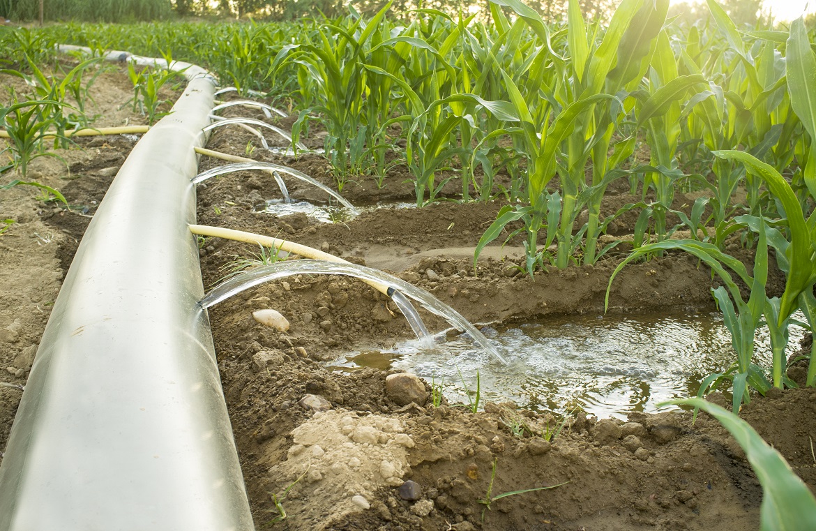 Irrigation System Installation
