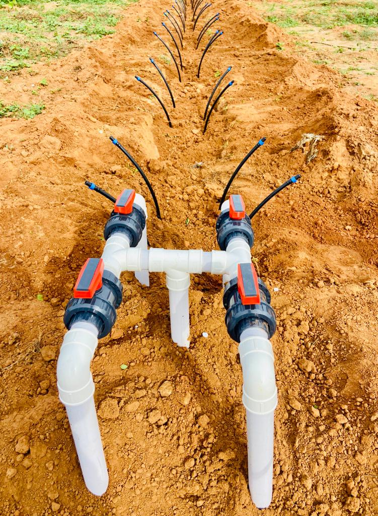 Drip line installation